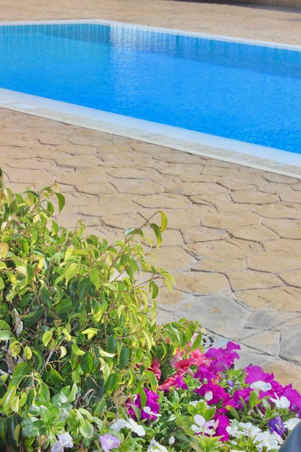 Sunny Ocean View Apartment Порис-де-Абона Экстерьер фото